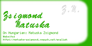 zsigmond matuska business card